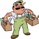 Садовые цветы — примула ушковая, японская, примула высокая, весенняя, примула Юлии и прочие виды примулы — Как сделать самому?